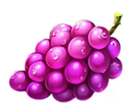 Grape bunch paytable icon