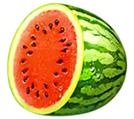 Watermelon paytable icon